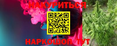 Альфа ПВП Севастополь
