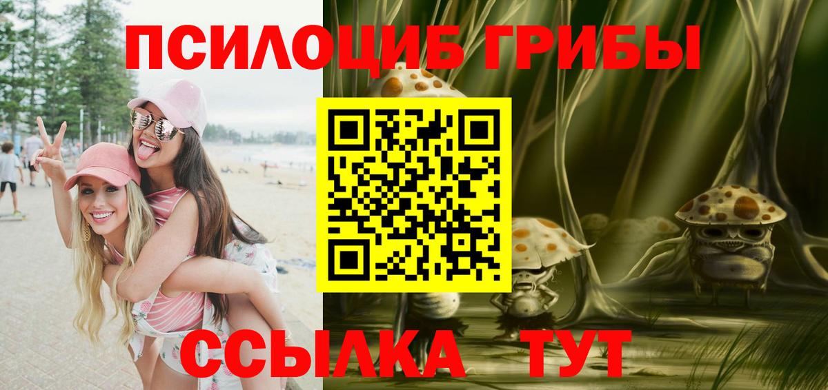 Псилоцибиновые грибы Cubensis  Вход с VPN  Рязань  Псилоцибиновые грибы ЛСД 